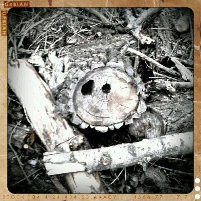 Inmitten im Wald liegt er da - und grinst verschmitzt! :)
