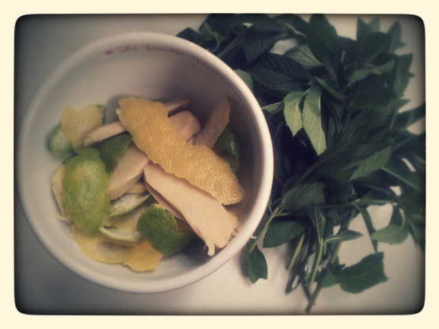 Zitronen- und Limettenschalen kommen gemeinsam mit Ingwer und Minzblättern zum Sirup.