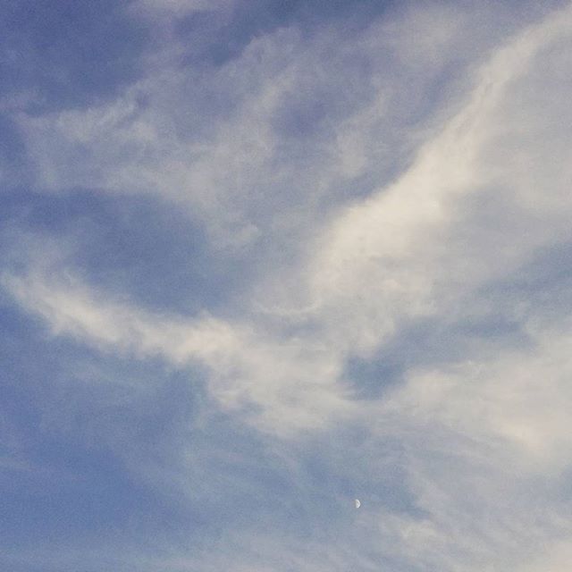 I see a wolf, an eagle & the moon. #cloudporn #skyporn #moon #wolf #eagle