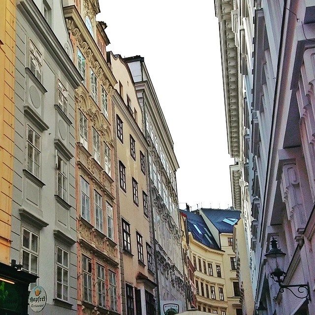 Wenn man genau hinschaut, ist die Großstadt ganz und gar nicht grau. #architektur #Wien